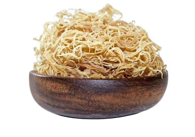 100% Wildcrafted Sea Moss